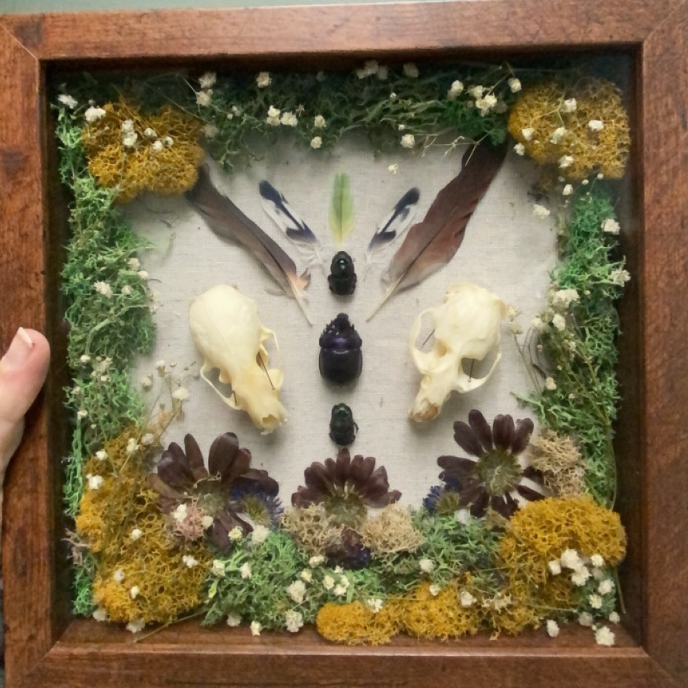 COMMISSIONS OPEN! Framed Nature Display with Skulls and Flowers